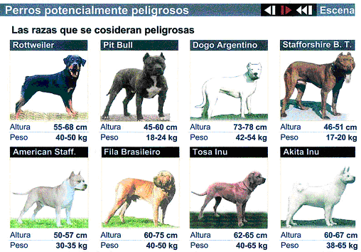 Todas las razas de perros