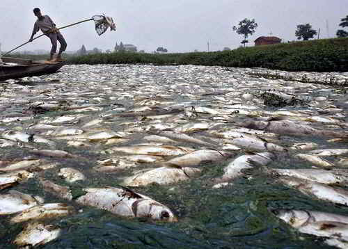 Citarum: El río más contaminado del mundo