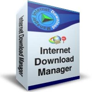 Internet Download Manager administrador de descargas